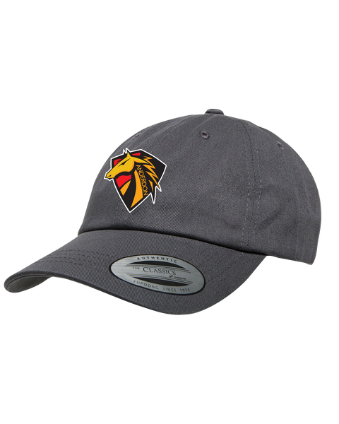 Anderdon Adult Low-Profile Cotton Twill Cap with Embroidered Logo