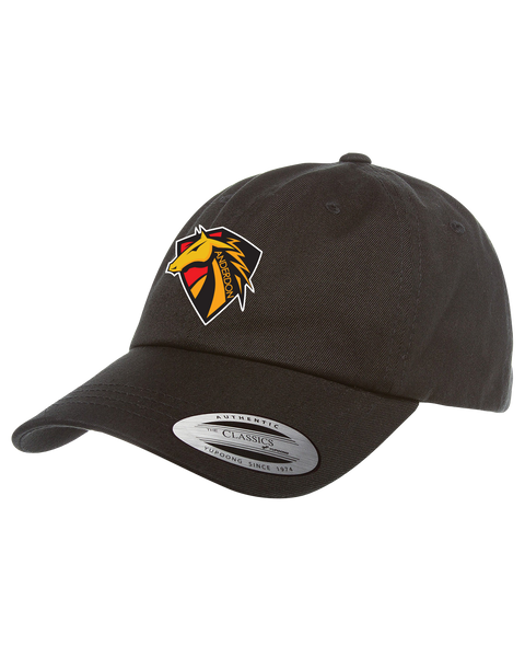 Anderdon Adult Low-Profile Cotton Twill Cap with Embroidered Logo