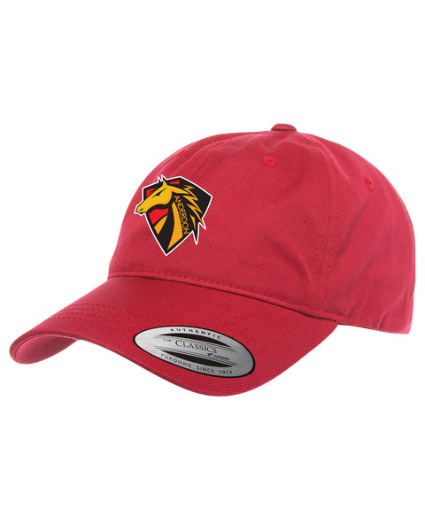 Anderdon Adult Low-Profile Cotton Twill Cap with Embroidered Logo