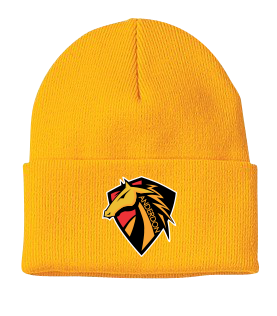 Anderdon Knit Toque Cap