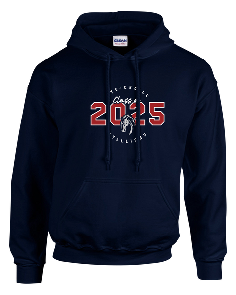 Ste. Cécile 'Class of 2025' Youth Gildan Sweatsuit with Printed Logos *TWO PIECE SET*